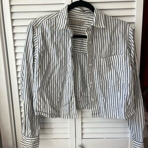 Everlane Striped Button Down